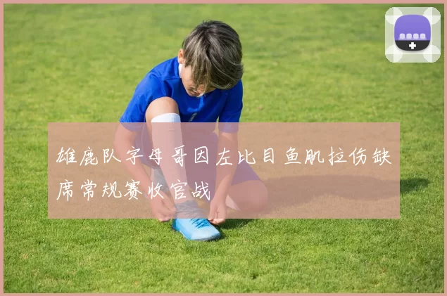 雄鹿队字母哥因左比目鱼肌拉伤缺席常规赛收官战