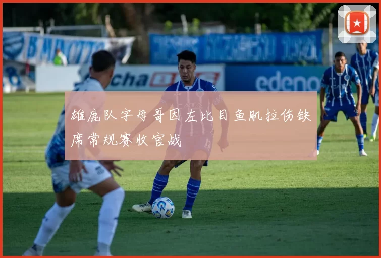 雄鹿队字母哥因左比目鱼肌拉伤缺席常规赛收官战