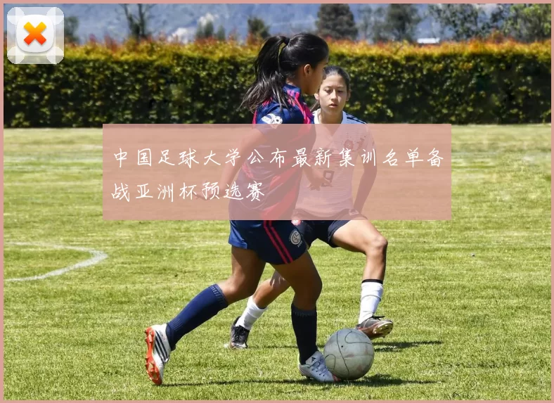 中国足球大学公布最新集训名单备战亚洲杯预选赛