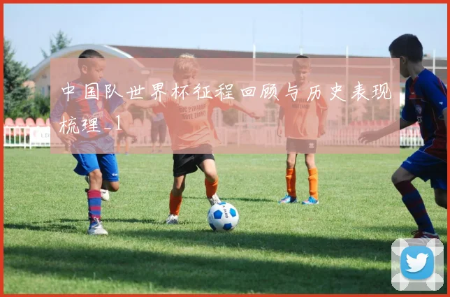 中国队世界杯征程回顾与历史表现梳理_1