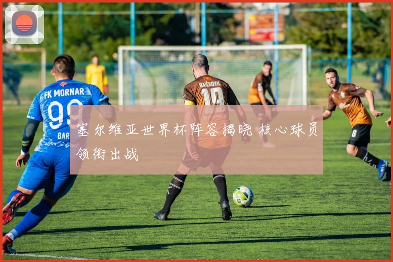 塞尔维亚世界杯阵容揭晓 核心球员领衔出战